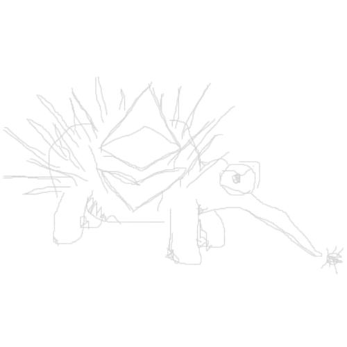 Echidna